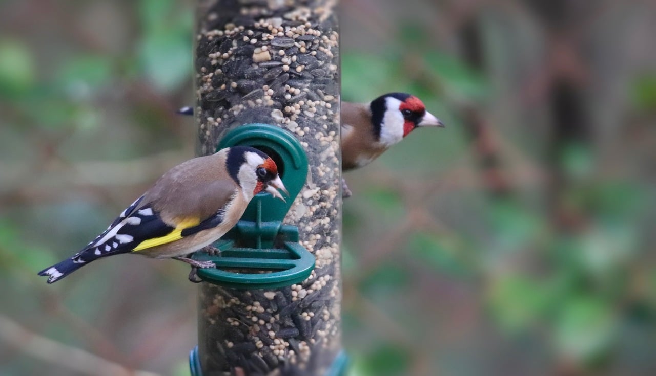 Introducing the MIT Generative AI Impact Consortium