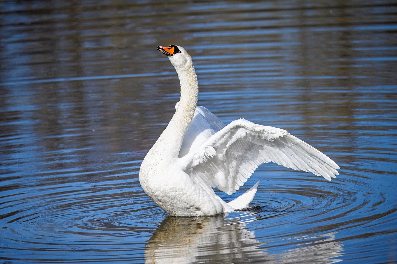 Explained: Generative AI’s environmental impact