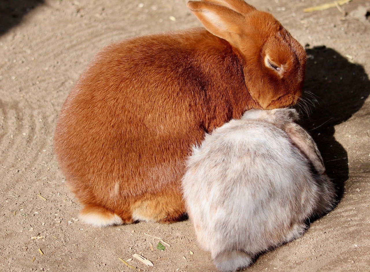 New computational chemistry techniques accelerate the prediction of molecules and materials