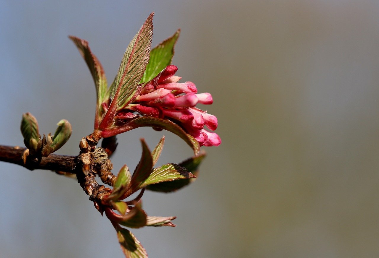 SQA Regulatory Surveillance Summary for March and April 2024