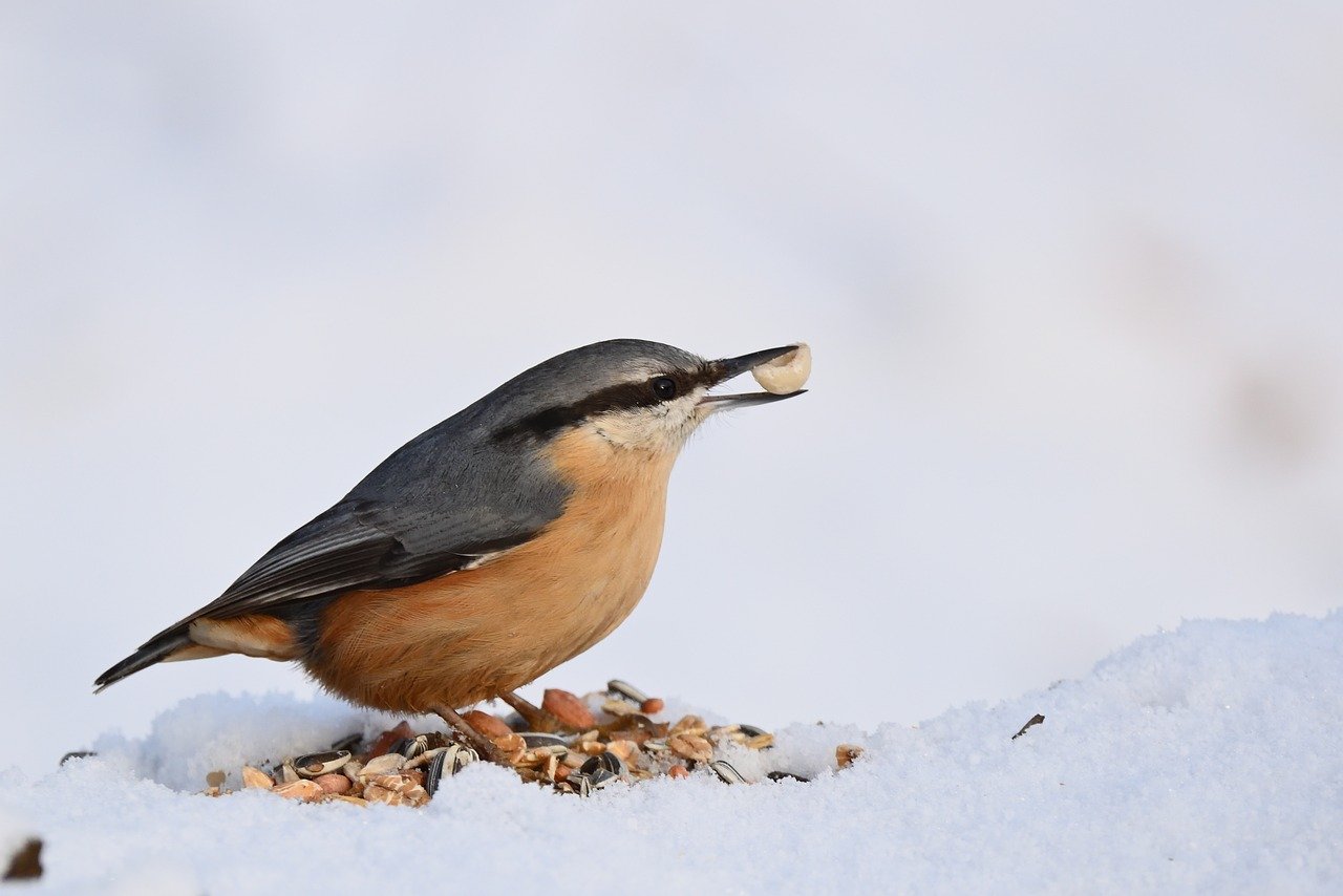 SQA Regulatory Surveillance Summary | Monthly Update 2023 – March And April