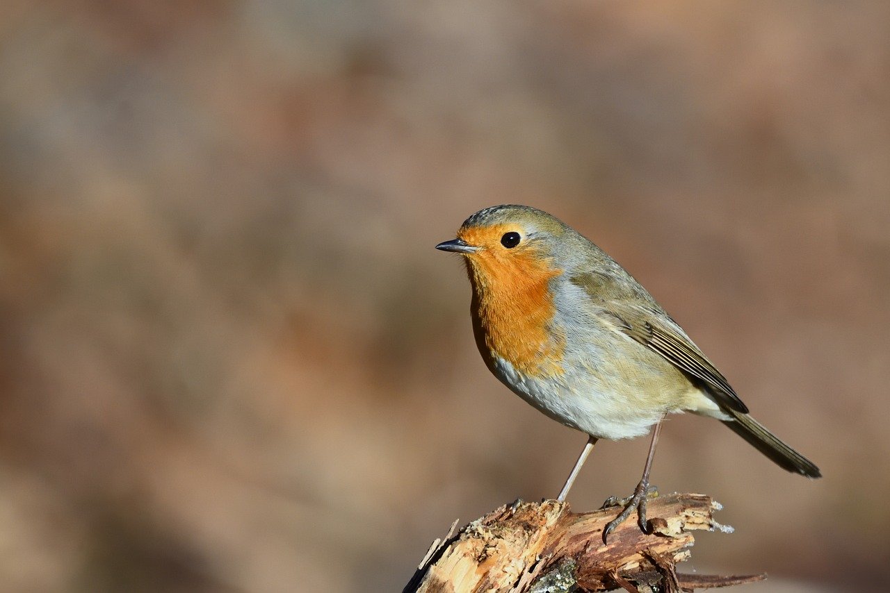 The multifaceted challenge of powering AI