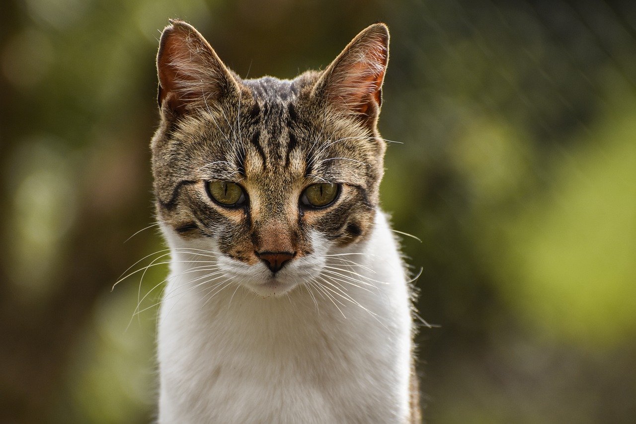 Amedisys Sees Home Health Revenue Rise While UnitedHealth Deal Hangs In The Balance