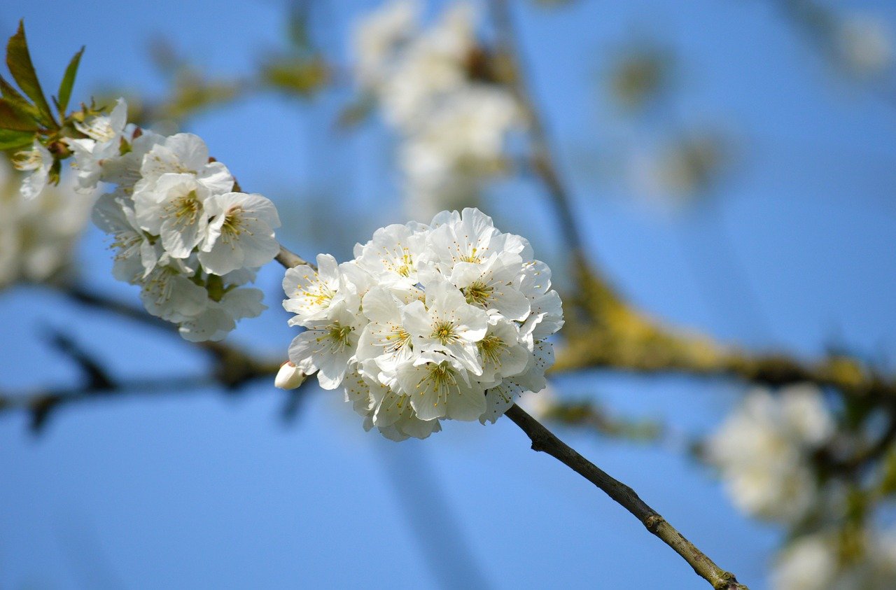 Integrating AI with EHR Systems in Cancer Practices: Streamlining After-Hours Work