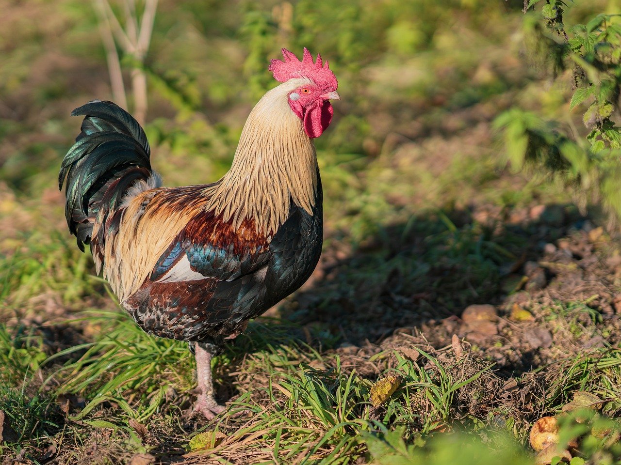 KFF Health News' 'What the Health?': Can Congress Reconcile Trump’s Wishes With Medicaid’s Needs?