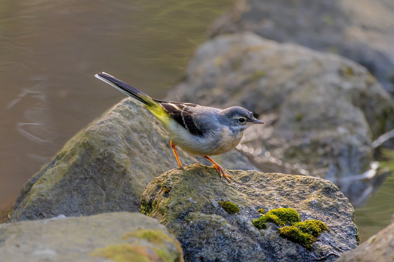 Creating a Culture of Compliance: Beyond Policies and Procedures