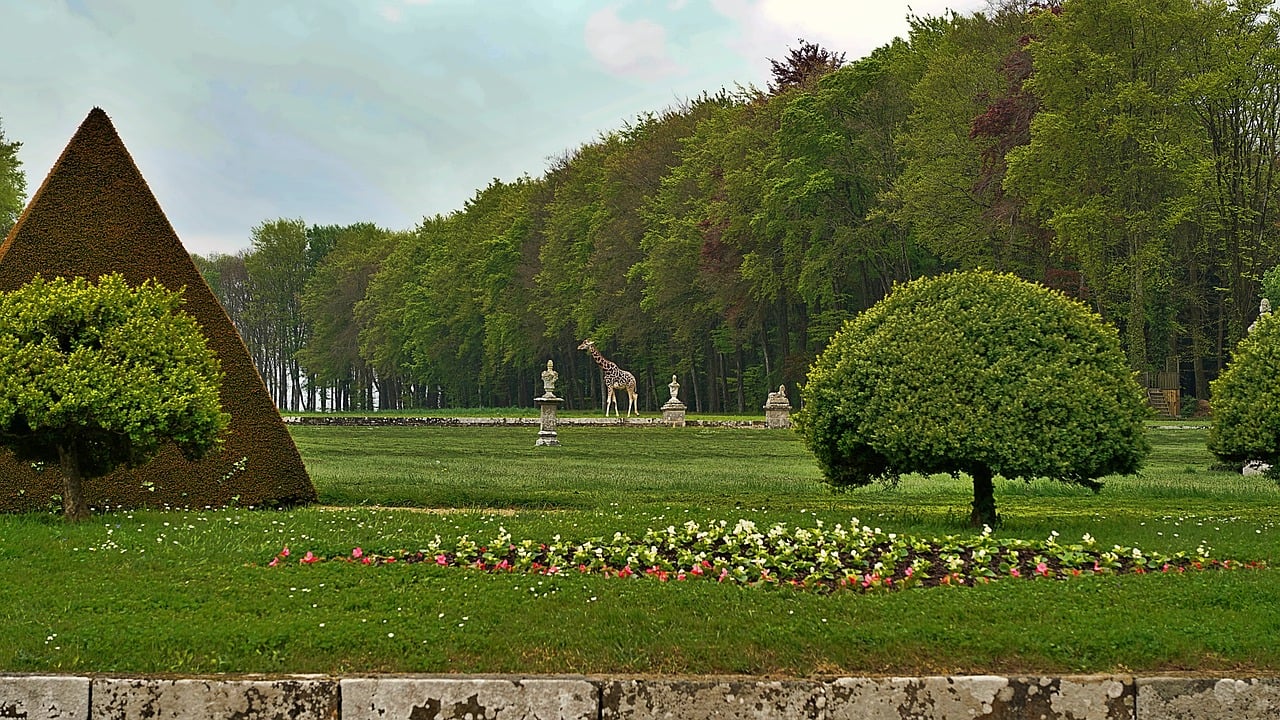 The Face Of An Agency: Intake Coordinators Position Home-Based Care Providers For Success