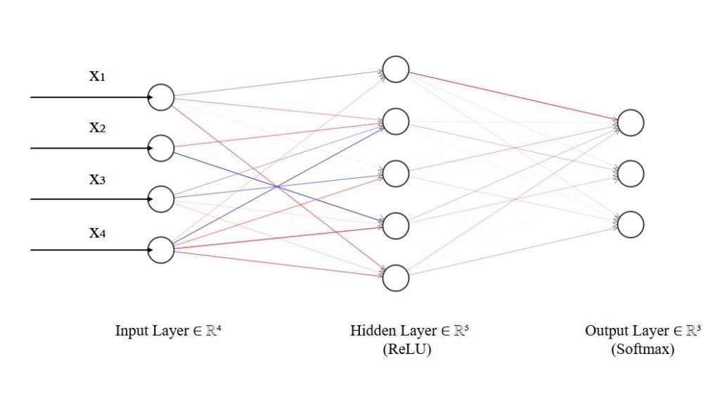 The Total Derivative: Correcting the Misconception of Backpropagation’s Chain Rule
