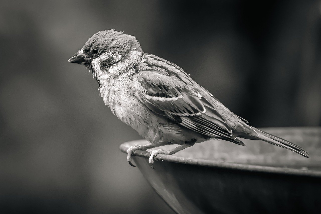 Trump’s DOJ Accuses Medicare Advantage Insurers of Paying ‘Kickbacks’ to Brokers