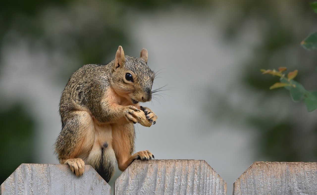 Alliance Official: Medicare Advantage Growth, PDGM Cuts Create Converging Crises For At-Home Care