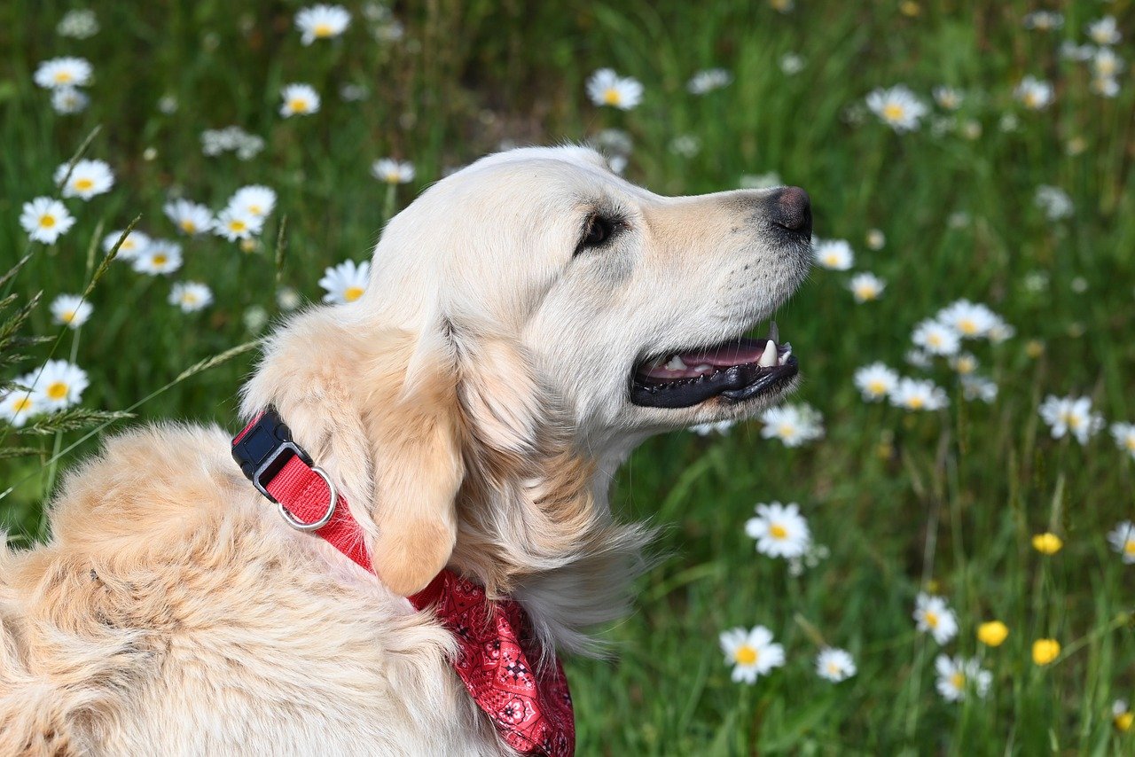 Bringing meaning into technology deployment