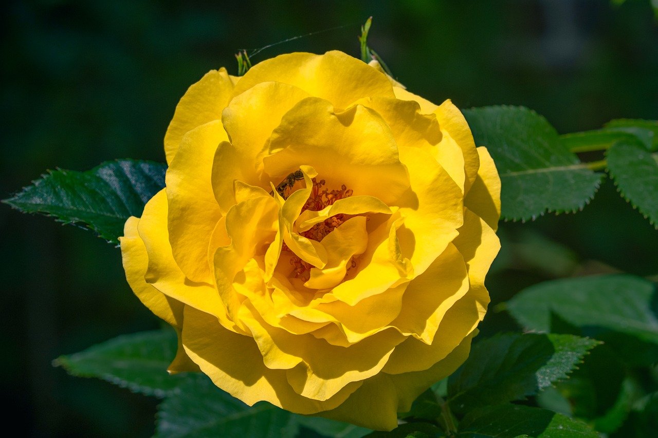 Exploring the Implications of California’s AB 489 on AI Usage in Healthcare and Patient Safety