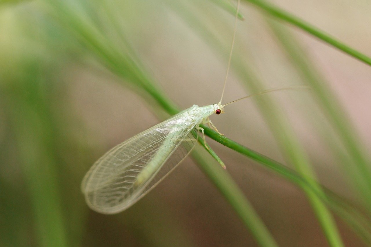 Listen: With Vital Health Research Defunded, Who’s Losing Out? 