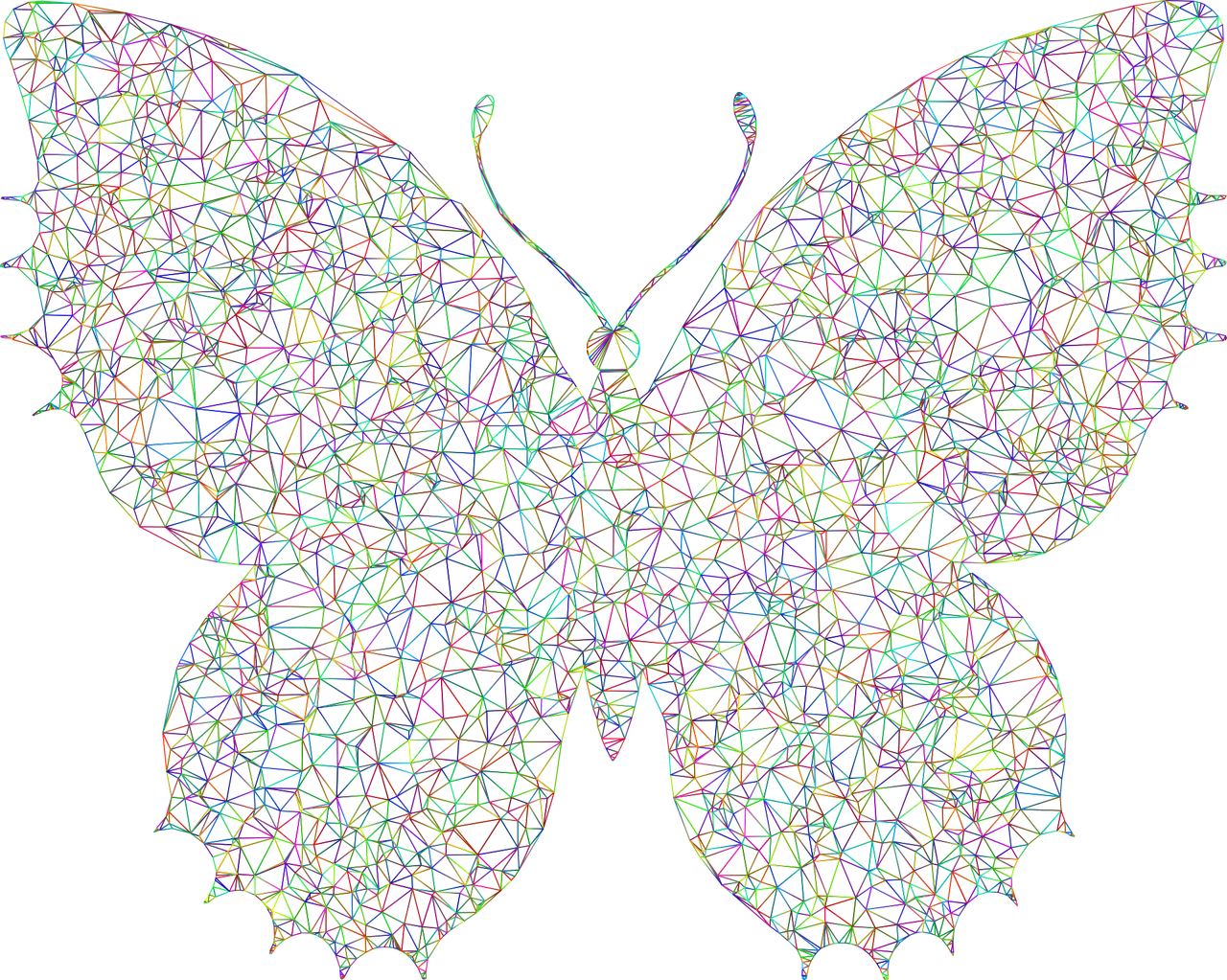 Nursing Home Compliance Audit Tool