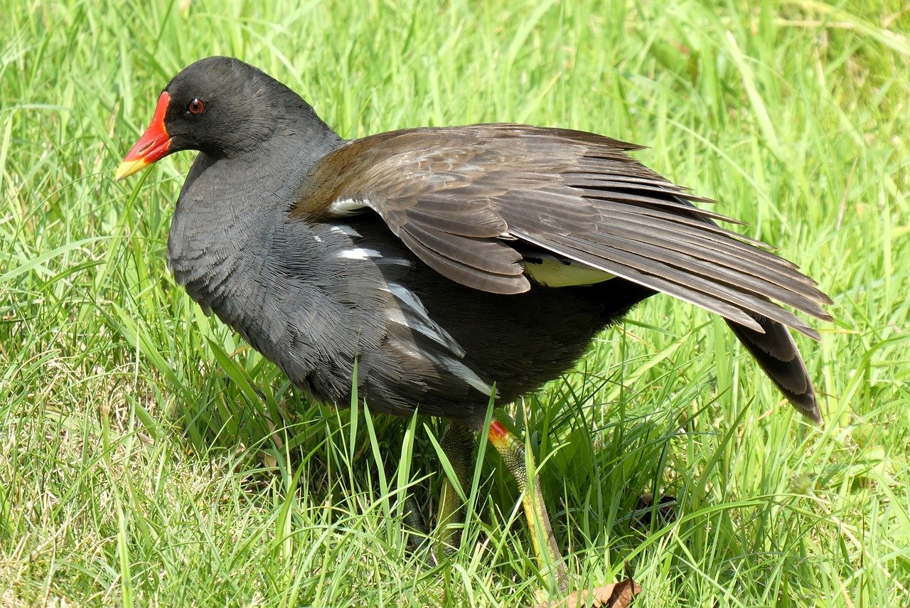 A new way to edit or generate images