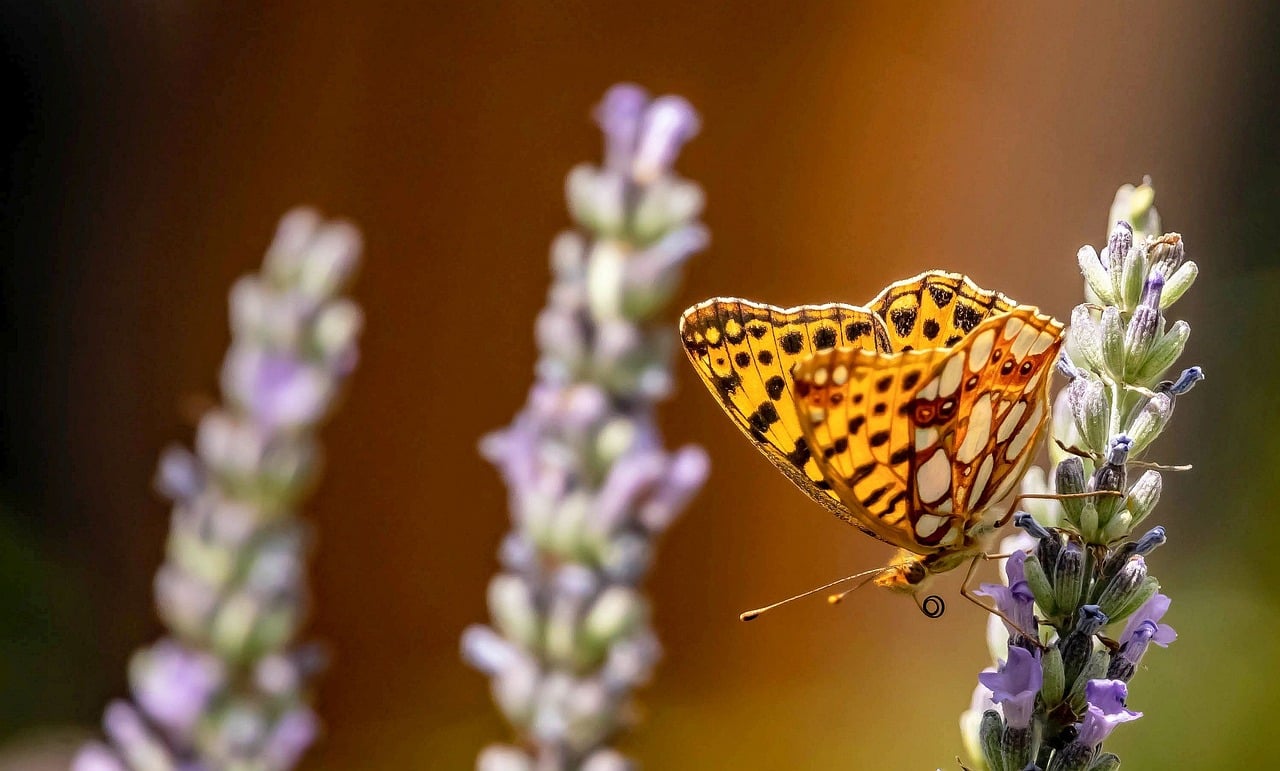 Exploring data and its influence on political behavior