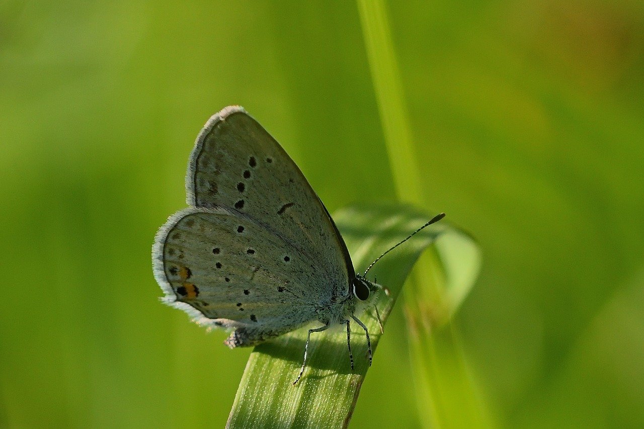 KFF Health News' 'What the Health?': Digesting Trump’s Big Budget Law