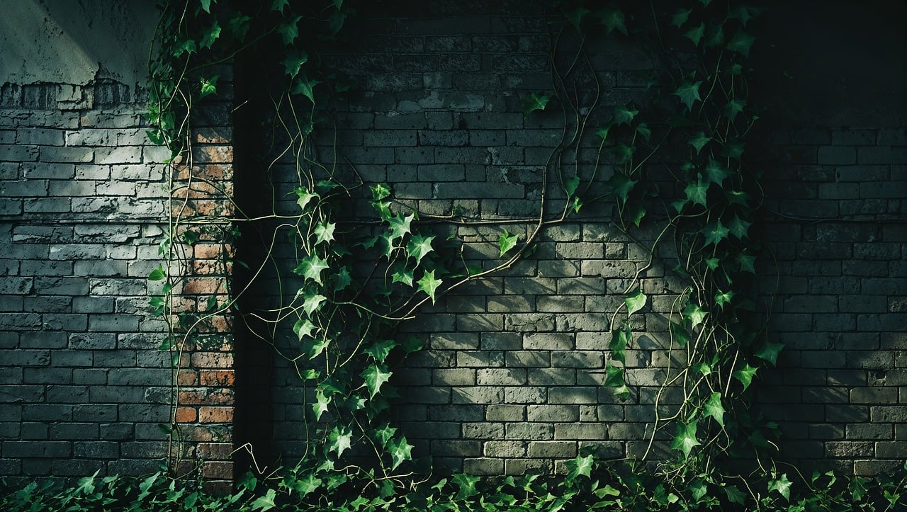 CDC Staff Tell Journalist They Felt Targeted Even Before Atlanta Campus Shooting