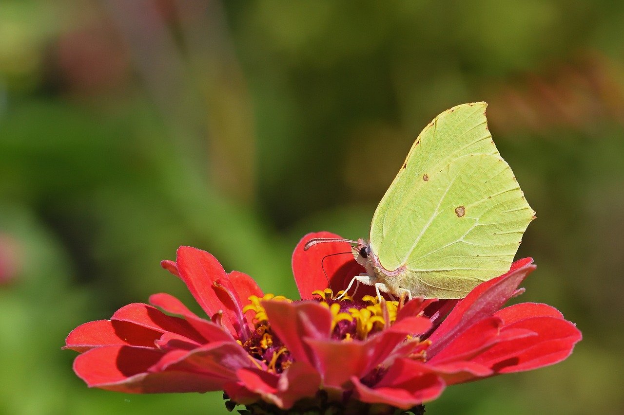 How Proposed Medicare Home Health Cuts Are Steering New Day’s Growth, Acquisition Plans