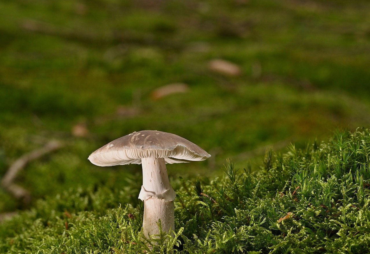 3 Questions: On biology and medicine’s “data revolution”