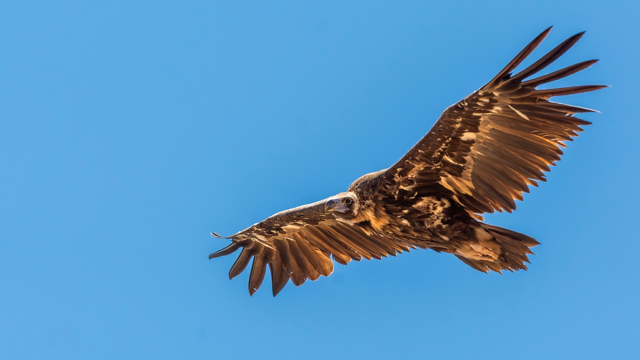 SQA Regulatory Surveillance Summary for Q1 2025