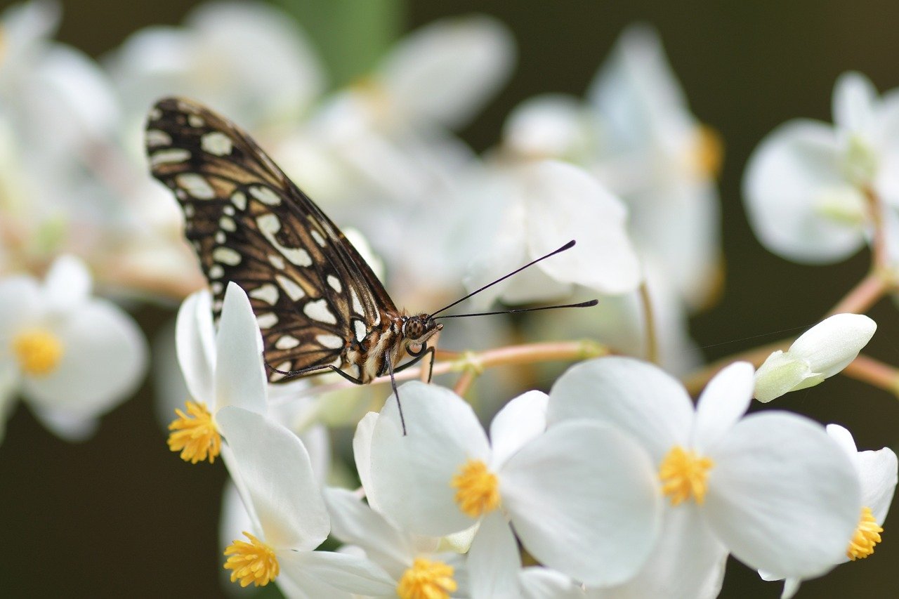 From Underserved to Audit-Ready: A Rural Health System’s Cyber Transformation