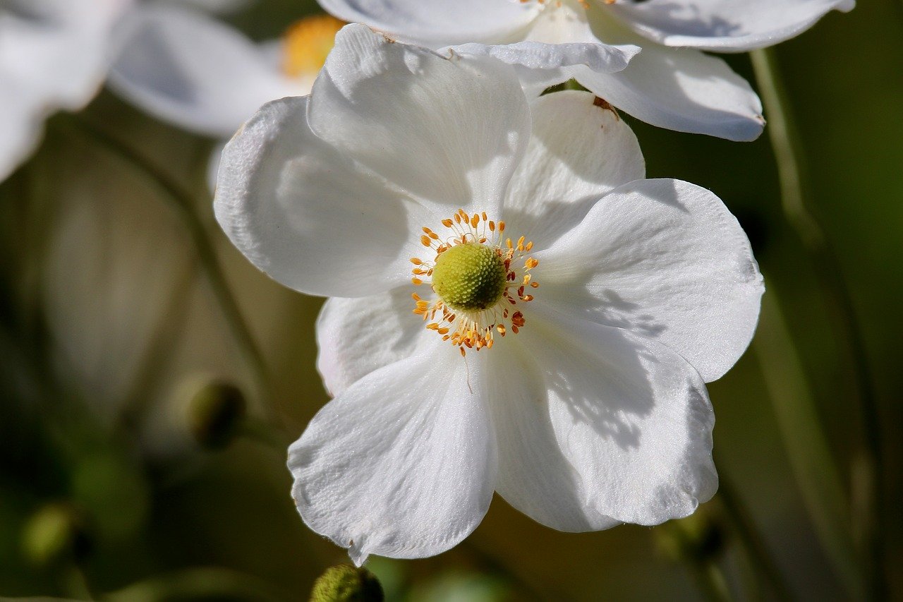 KFF Health News' 'What the Health?': Nutrition Programs Face Their Own Shutdown