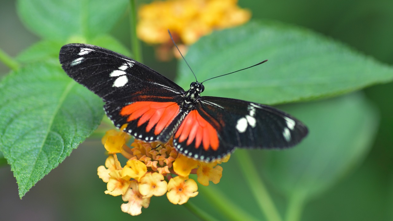 New software designs eco-friendly clothing that can reassemble into new items