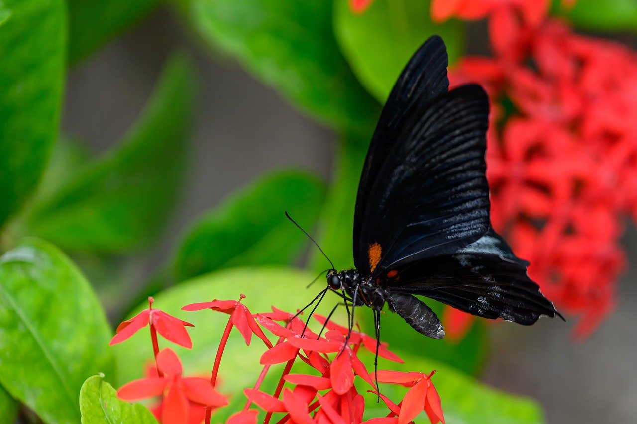 Now Accepting Submissions: 2025 Frontline Honors Awards