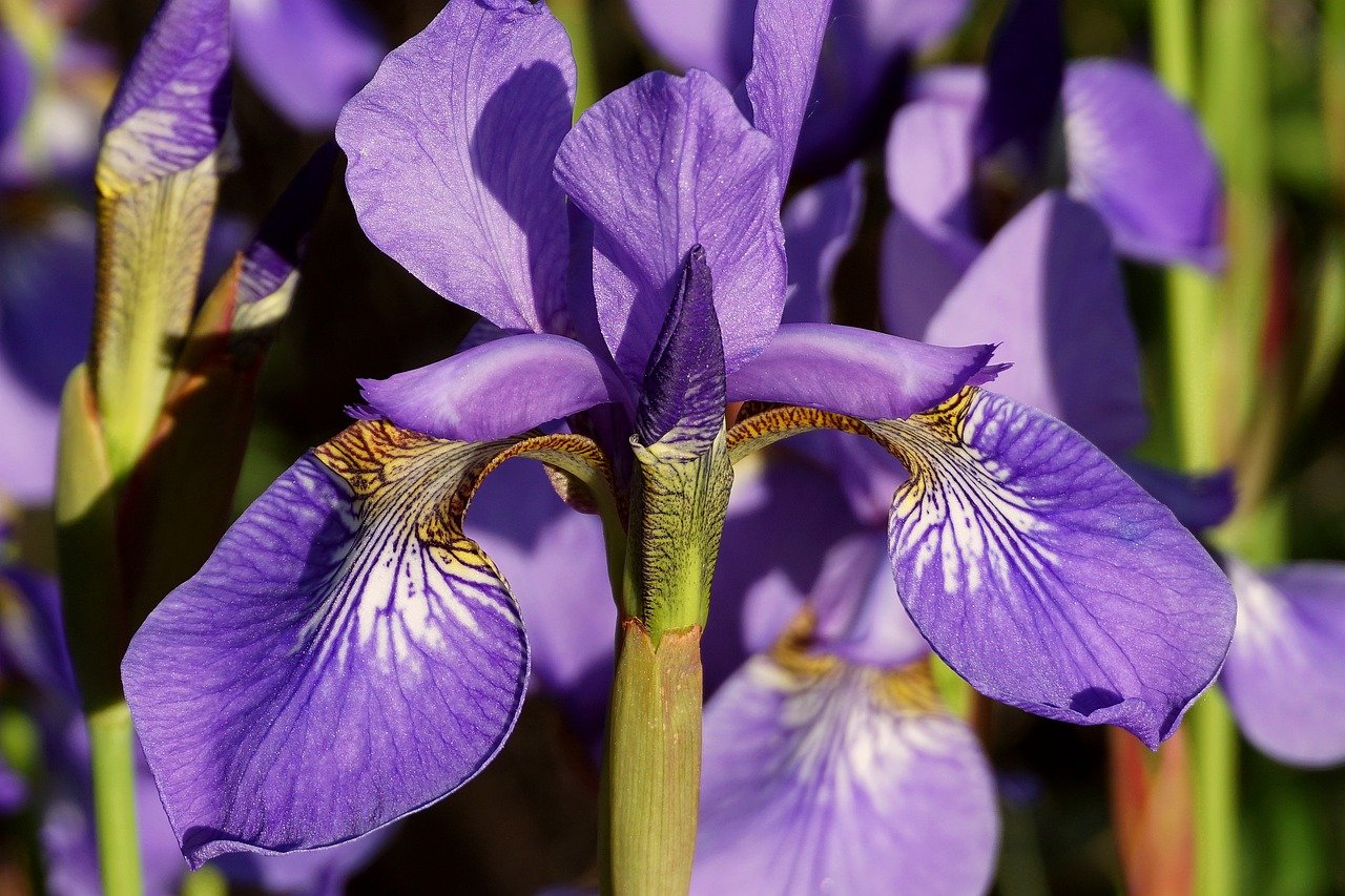 When Compliance Meets Forensics