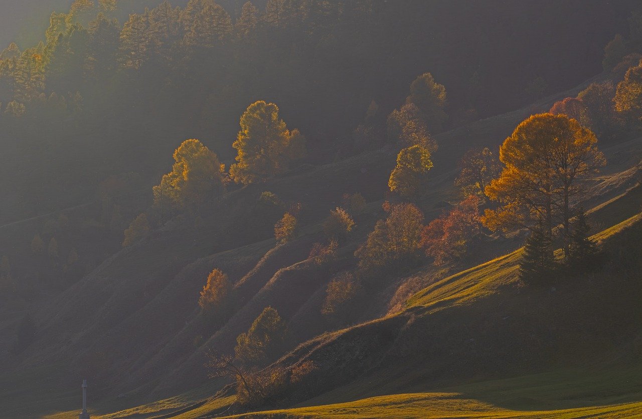 3 Questions: How AI is helping us monitor and support vulnerable ecosystems