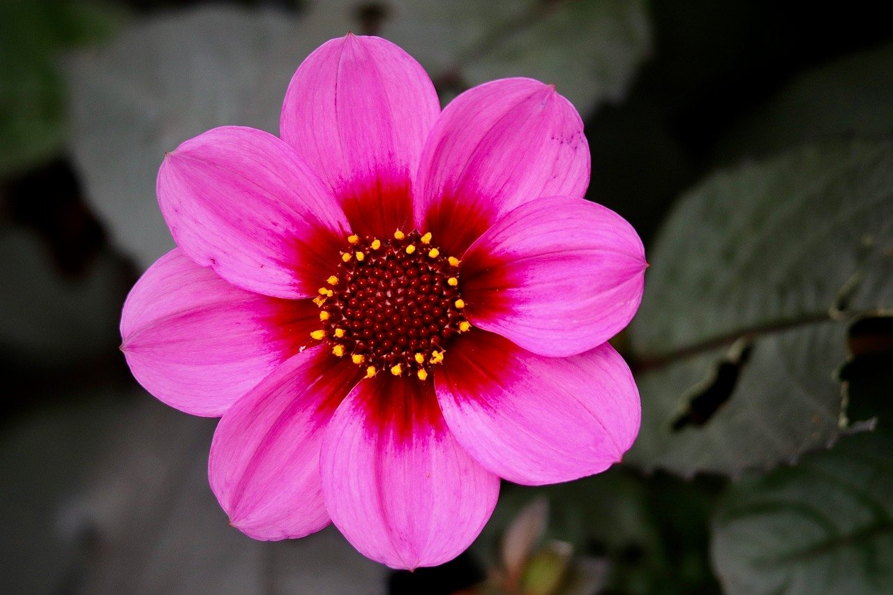 Challenges and innovative strategies for maintaining long-term engagement in digital mental health programs through the integration of microinterventions and behavior change techniques