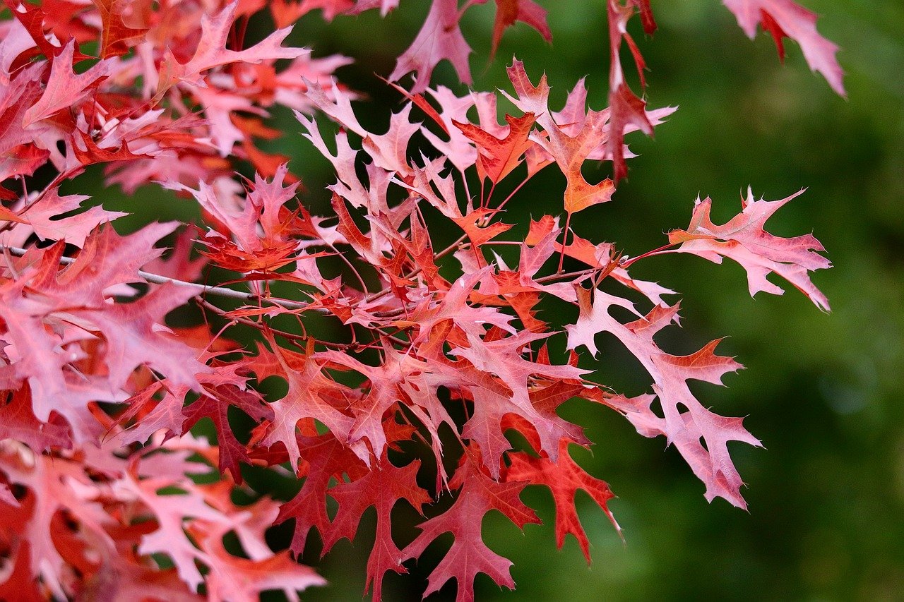 Charting the future of AI, from safer answers to faster thinking