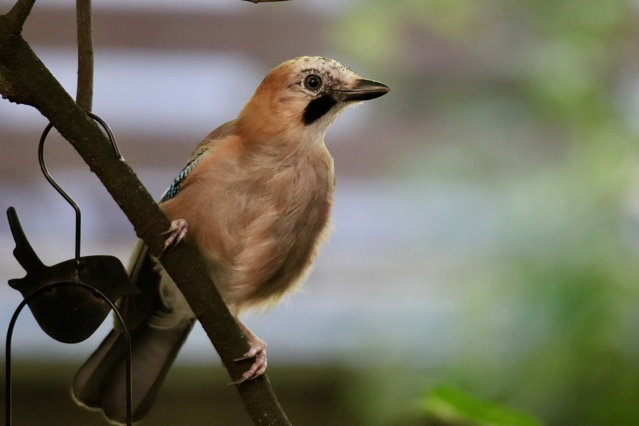 De-Risking Digital Health: From Seed to Scale