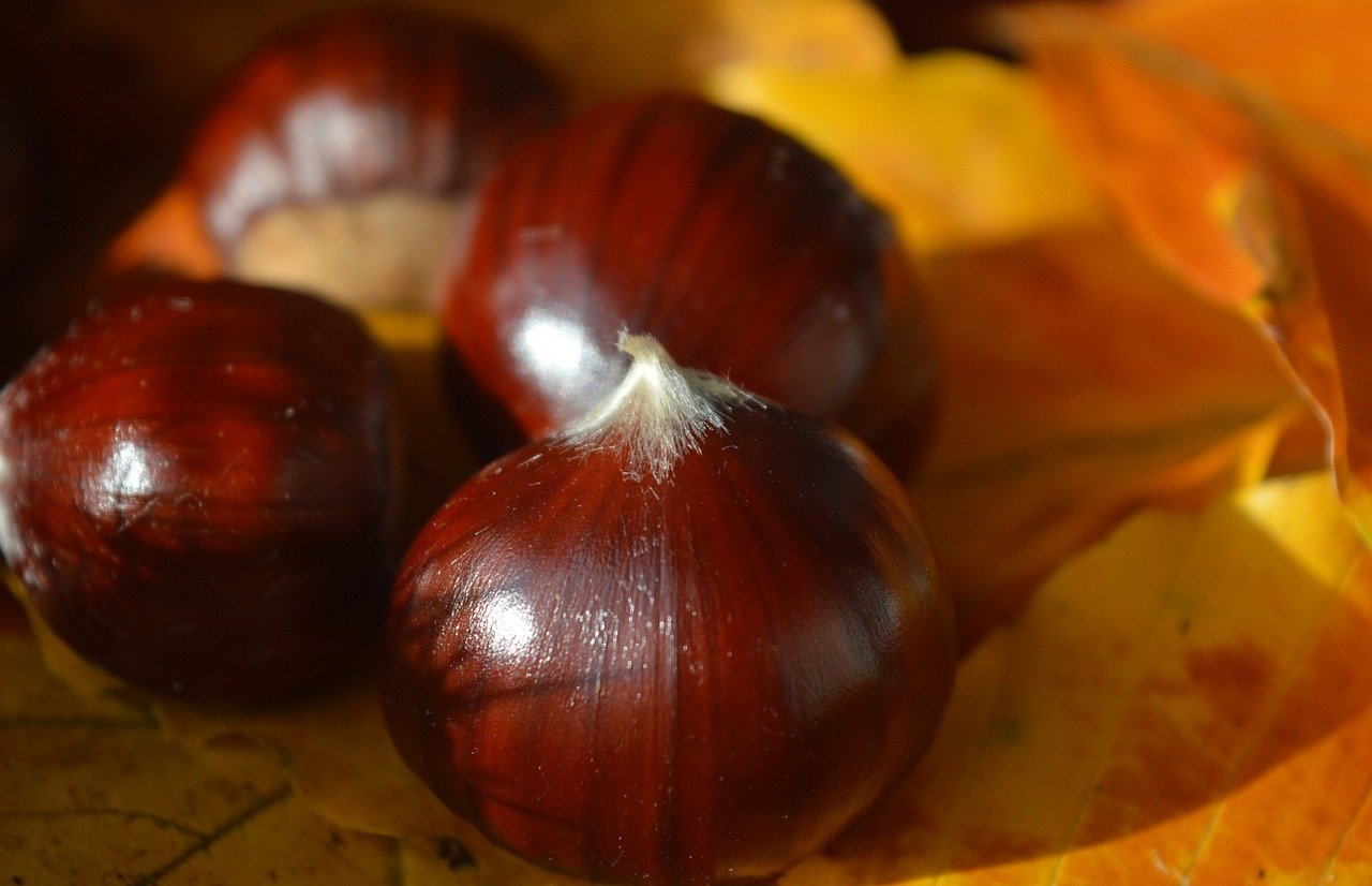 Detecting and Responding to Potential Data Breaches or Ransomware Attacks Effectively