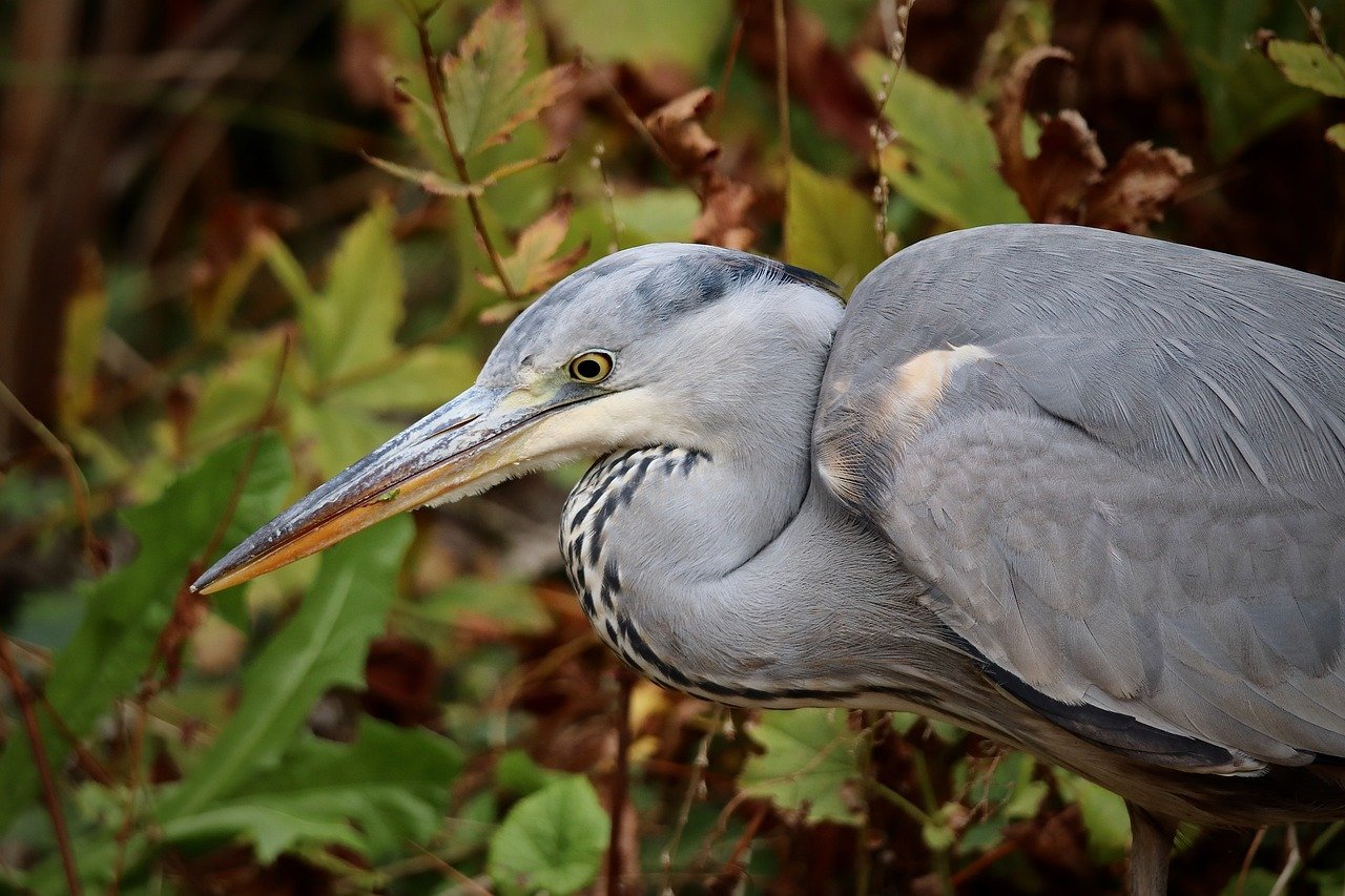 Guarding Trust: Patient Data Privacy Trends Shaping Healthcare in 2026 | November 18th, 2025 | 2:00 PM EST
