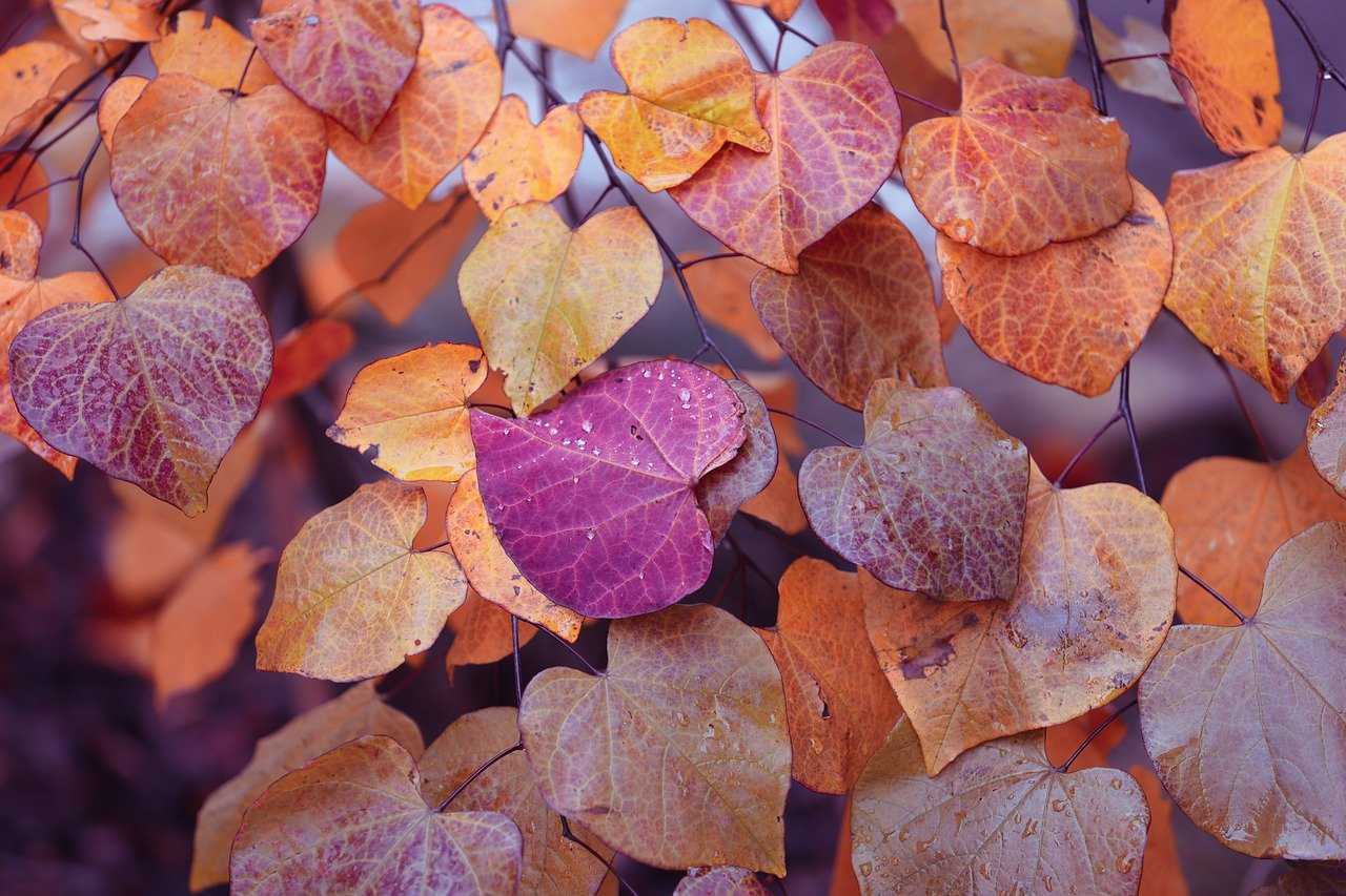 Helping K-12 schools navigate the complex world of AI