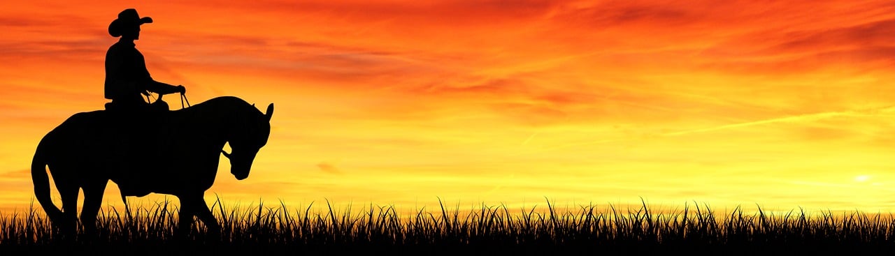 How AI Agents Are Transforming Patient Experience by Reducing Wait Times and Streamlining Hospital Scheduling and Staffing Processes