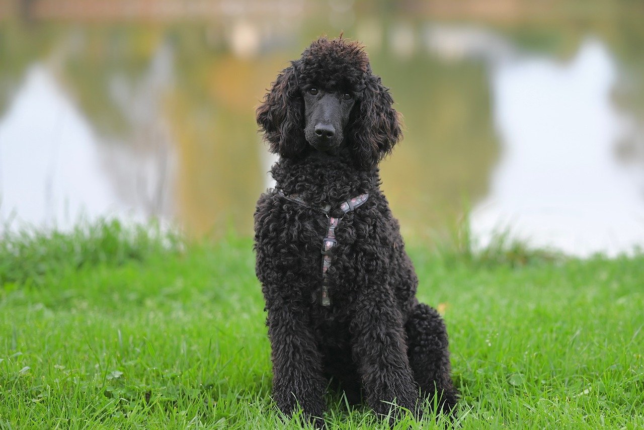 Journalists Shed Light on Opioid Settlement Cash, New Medicaid Work Requirements