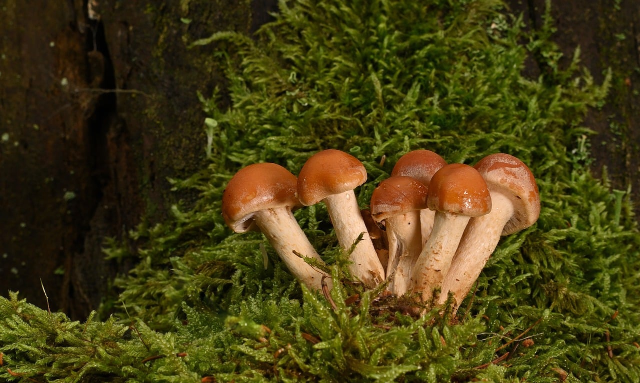 Leveraging AI-Powered Medical Documentation and Coding Systems to Reduce Errors and Free Up Healthcare Workers for Patient-Centered Care