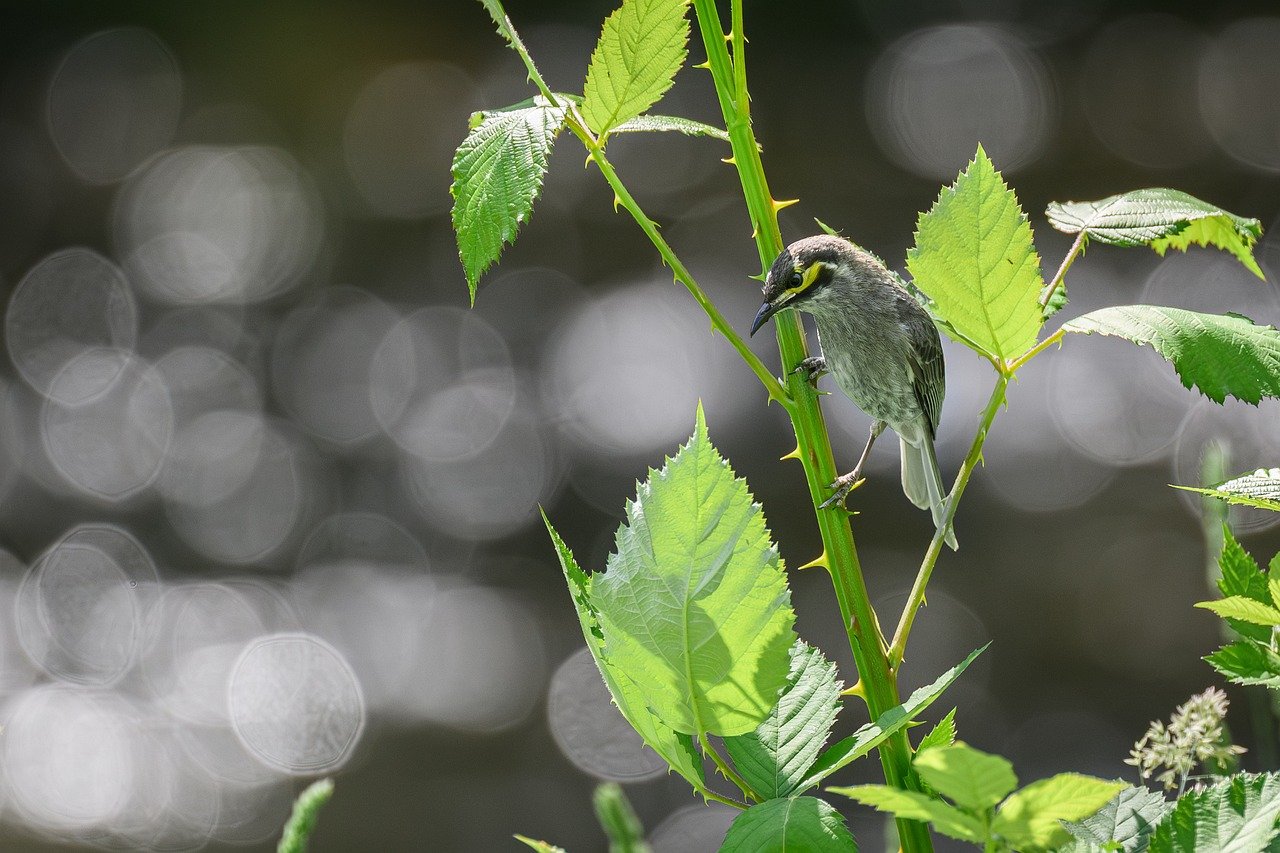 Measuring the Financial Impact of AI in Healthcare Through Key Metrics Such as Patient Acquisition, Billing Accuracy, and Operational Efficiency