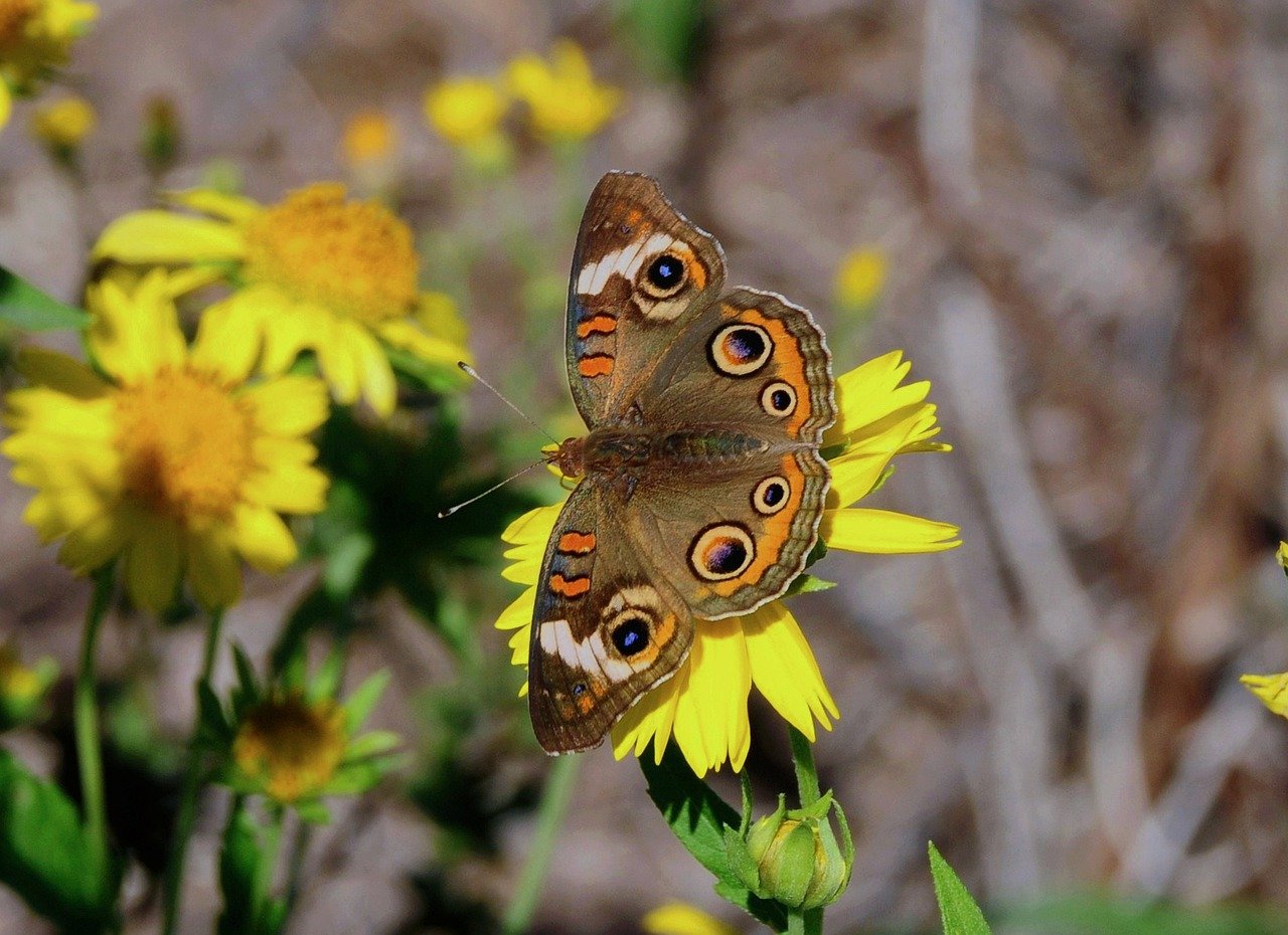 MIT scientists debut a generative AI model that could create molecules addressing hard-to-treat diseases