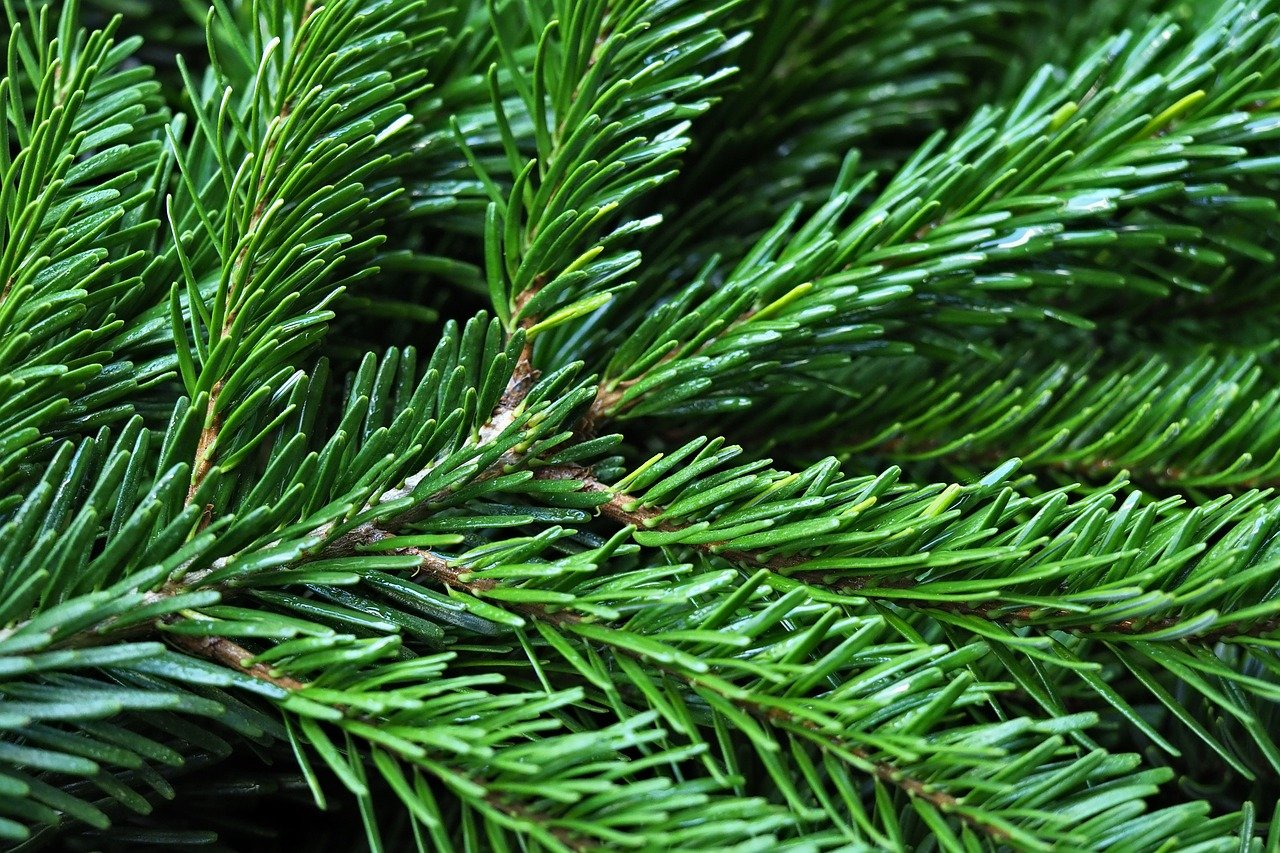 New AI agent learns to use CAD to create 3D objects from sketches