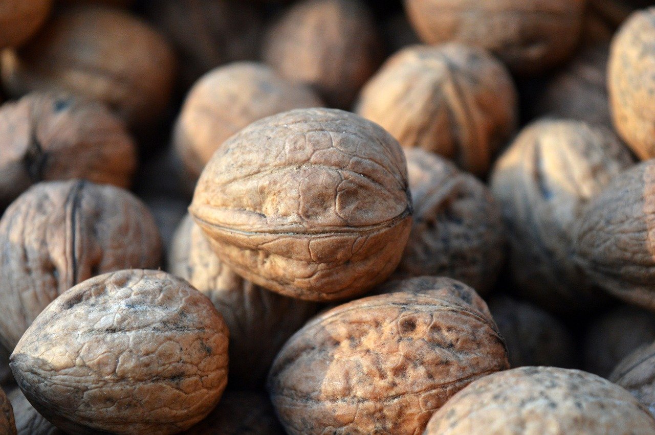 Quantitative benefits of implementing automation in health insurance verification: cost reduction, improved response times, and centralized insurance data management