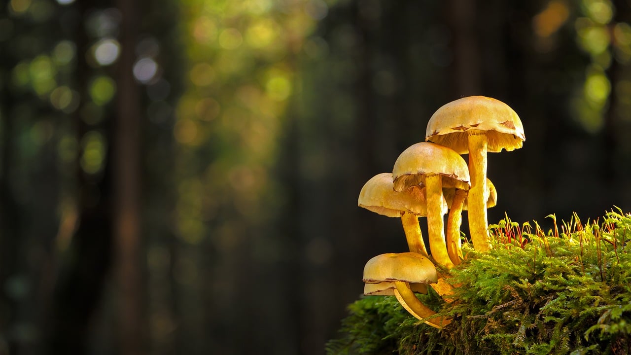 Qué ocurre cuando tus médicos ya no están en la red de tu aseguradora