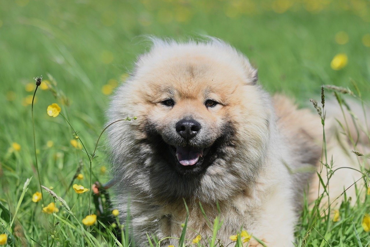 The Impact of Automating Prior Authorization Processes on Reducing Administrative Costs and Improving Healthcare Provider Satisfaction