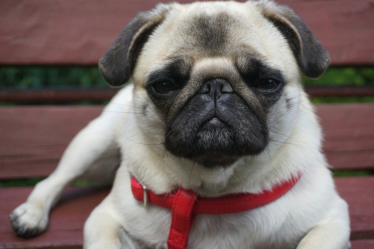 Voices: Luke Rutledge, President, Homecare Homebase