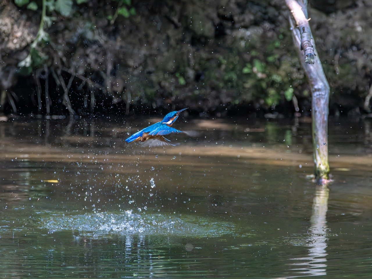 7 Steps to Make Your Healthcare Website AI-Friendly