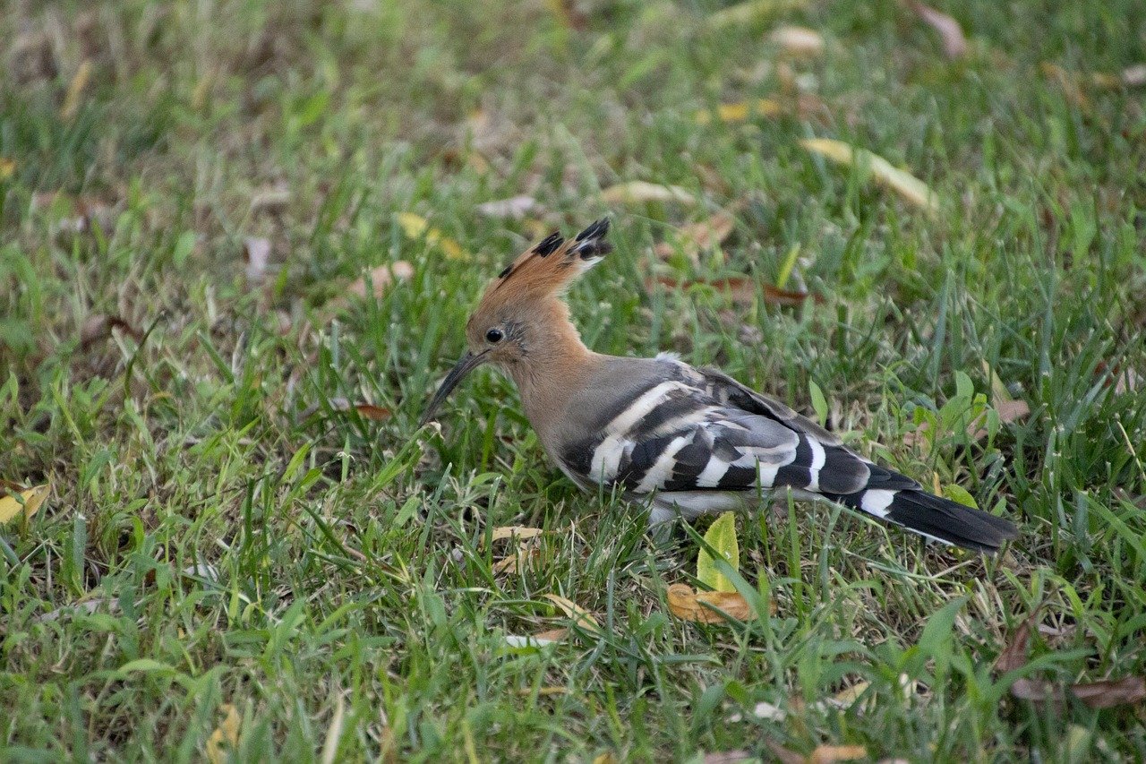 A new way to increase the capabilities of large language models