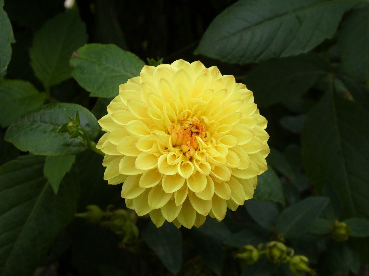 Crafting Home Health Value-Based Arrangements In Managed Care